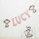 Personalised 'Day You Were Born' Themed Name Bunting additional 1