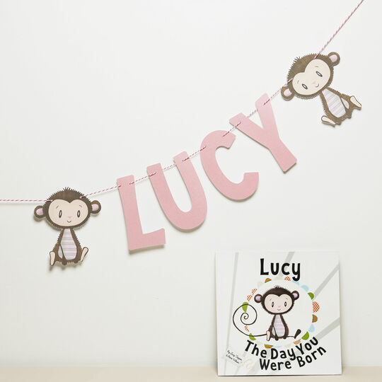 Personalised 'Day You Were Born' Themed Name Bunting