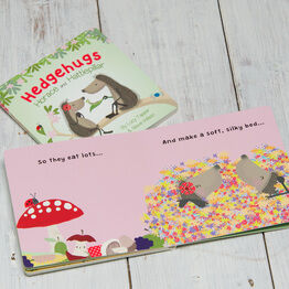 Hedgehugs 'Horace & Hattiepillar' Children's Board Book