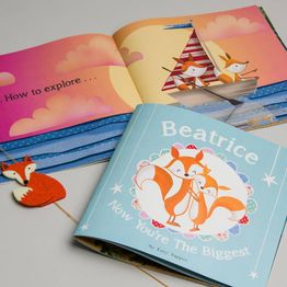 NOTHS NYTB Book alternative