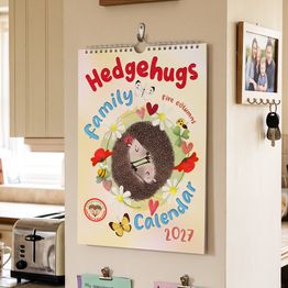 Hedgehugs 2027 Family Organiser Calendar