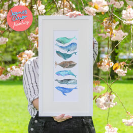 'Pod' Illustrated Whale Print by James Cluer