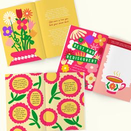 Menopause New Chapter Book alternative