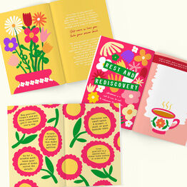 Menopause Next Chapter Book alternative