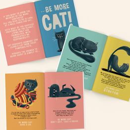 Be More Cat alternative