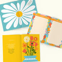 Separation Next Chapter Book additional 7