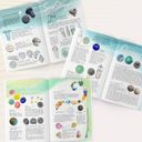 Sea Glass Guide Book additional 5