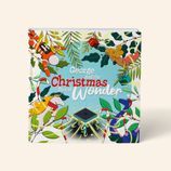 Christmas Box of Wonder Personalised Book additional 1