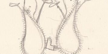 Horace_Hattie_in_the_rain