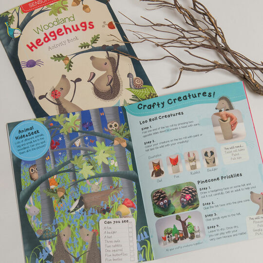 Hedgehugs 'Woodlands' Children's Activity Book