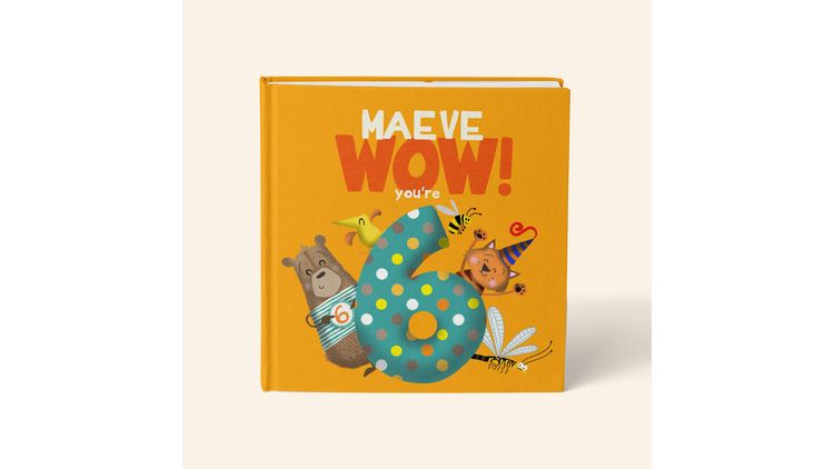 'Wow You're Six' 6th Birthday Children's Book