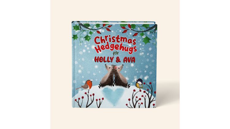 Personalised Christmas Hedgehugs Book